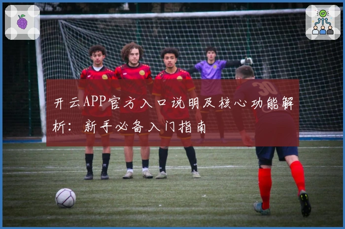 开云APP官方入口说明及核心功能解析：新手必备入门指南