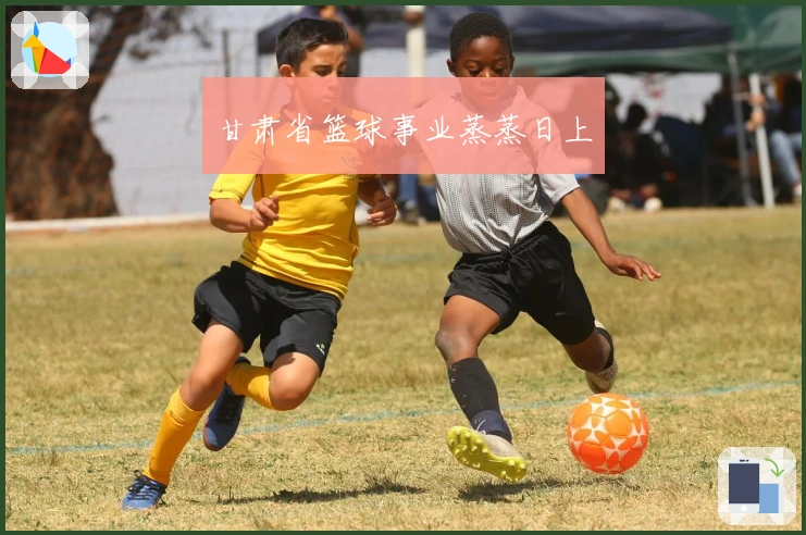 甘肃省篮球事业蒸蒸日上